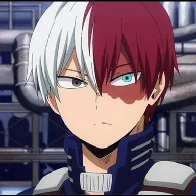 Profile image of Shoto Todoroki