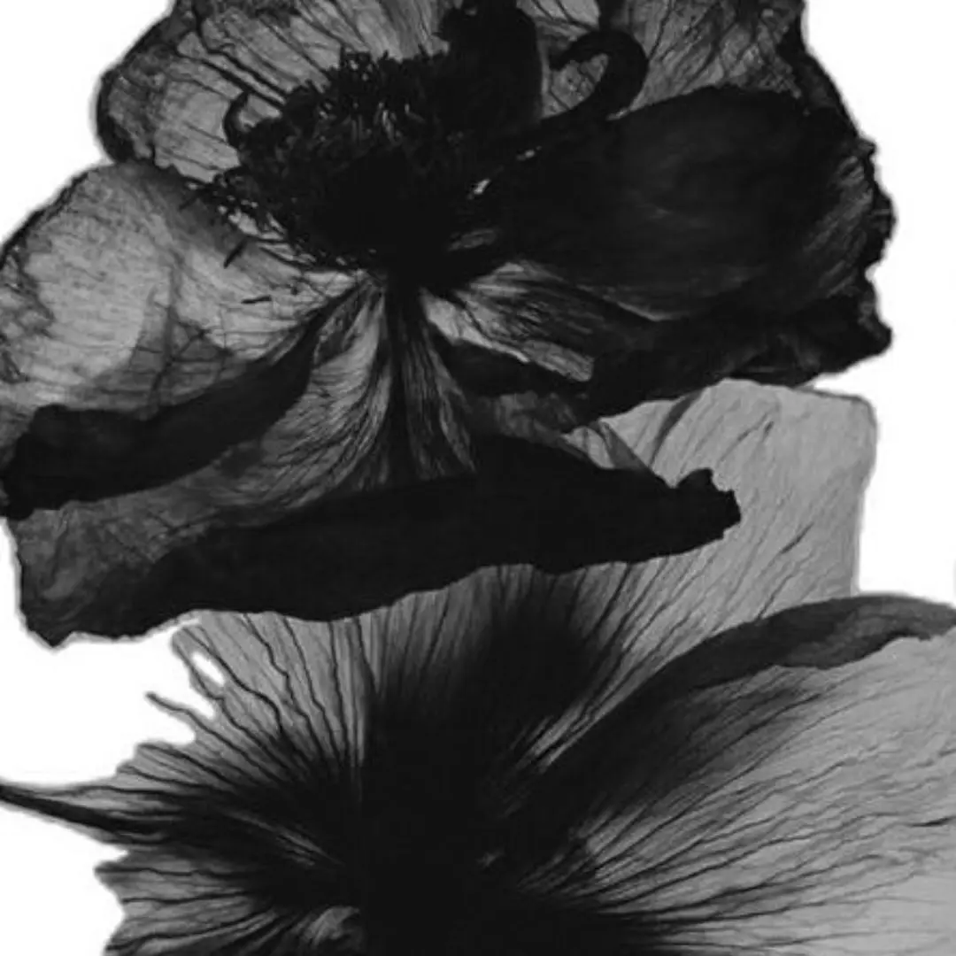 Zion.T의 이러지마 제발