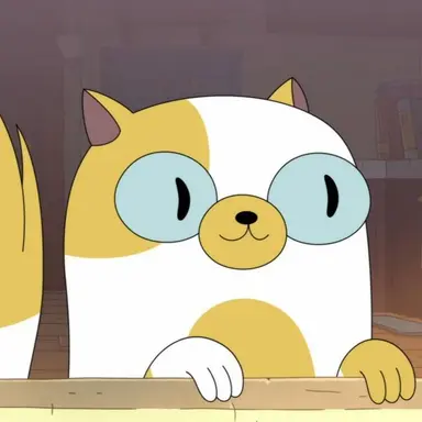 Profile image of Cake the cat