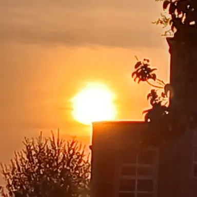 Profile image of 픽셀리