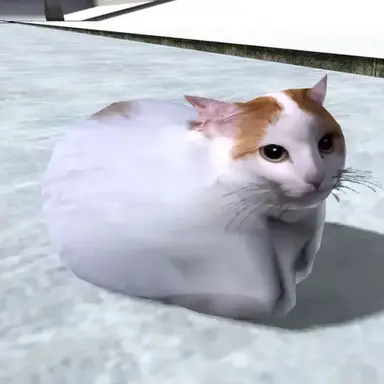 Profile image of 치피