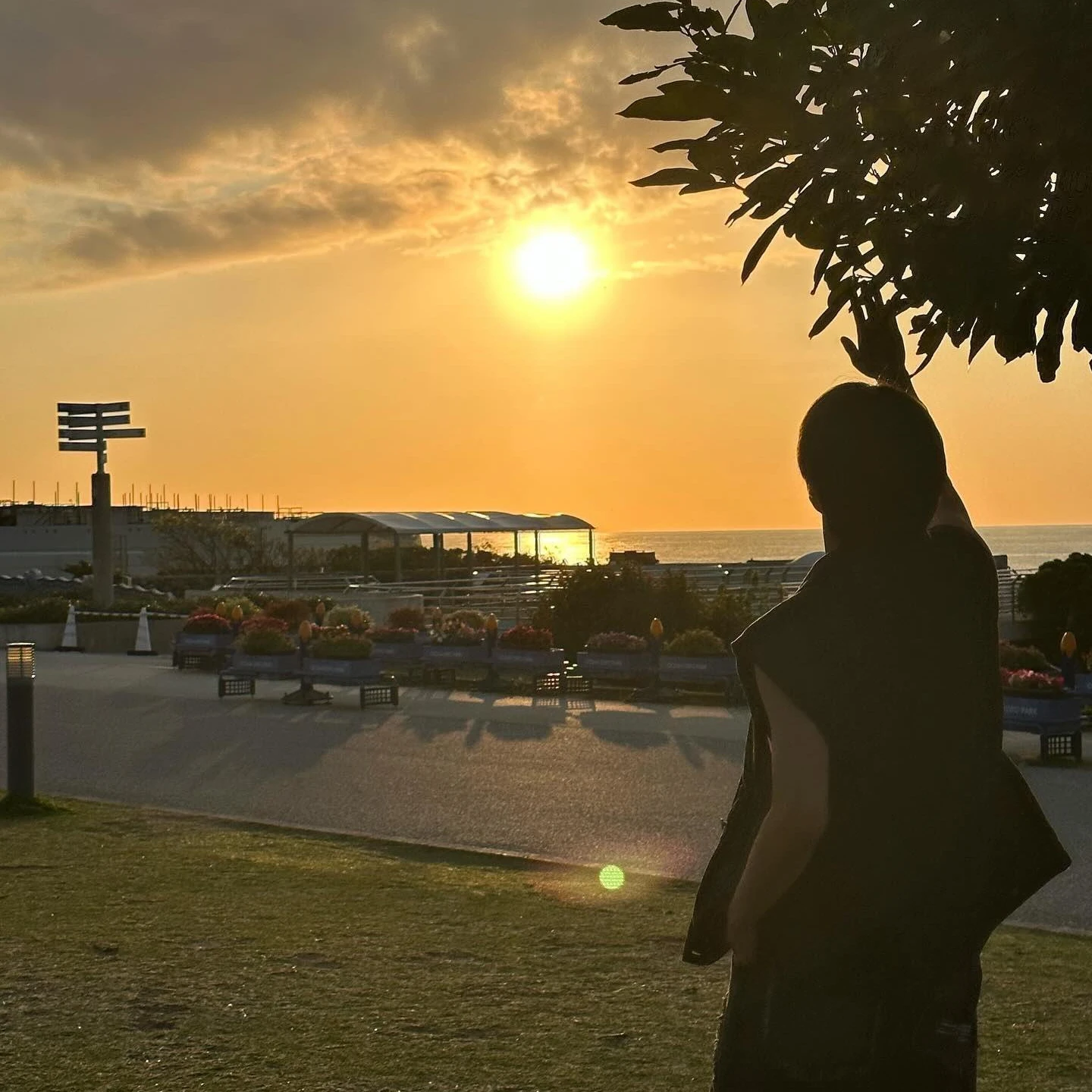 김선우