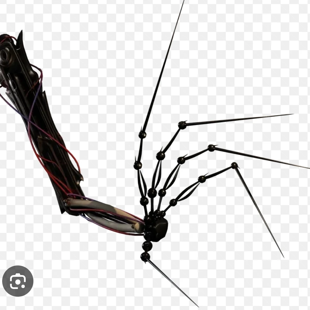 최강