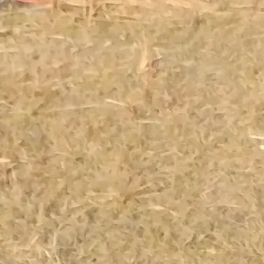 SleepyFrond9735의 ある人のせいで