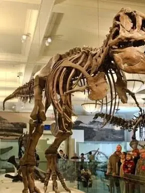 taku-0의 Night at the Museum
