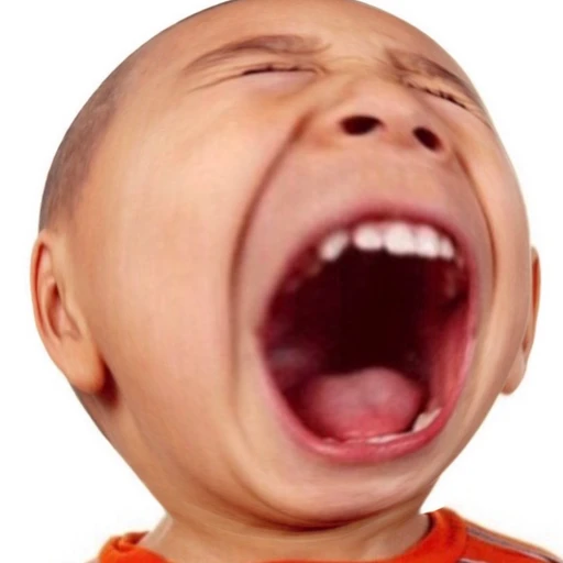 남잼