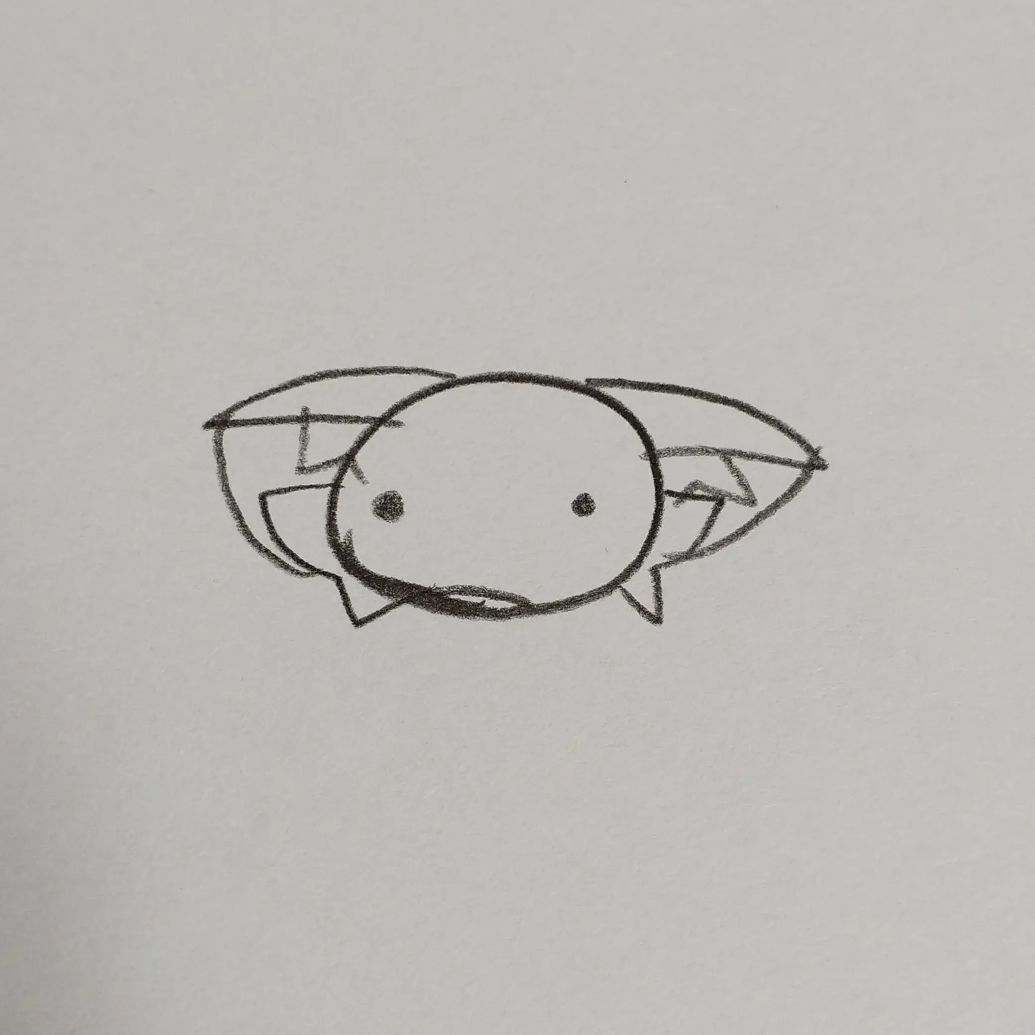 ewelpp_hi의 왕따를 당한 여우(꼴 좋닼ㅋㅋㅋ)