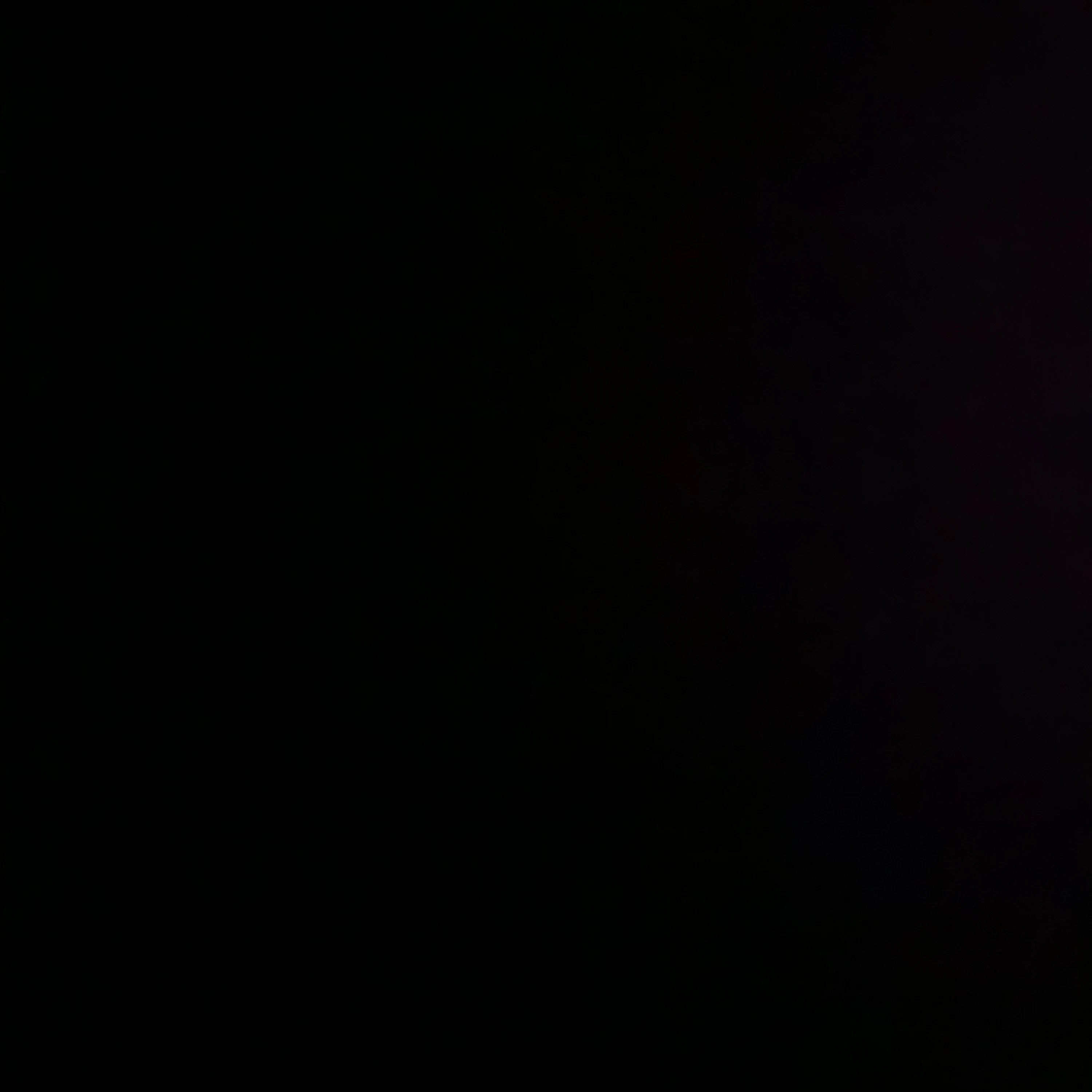 윤정핝