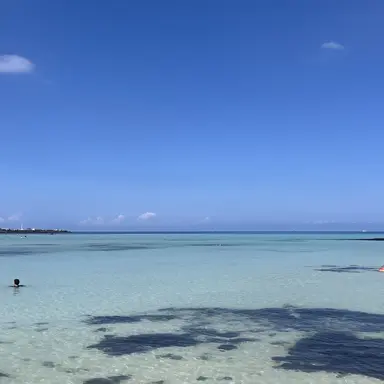 Profile image of 방찬