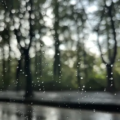 Profile image of 이용복