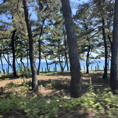 Profile image of 서창빈