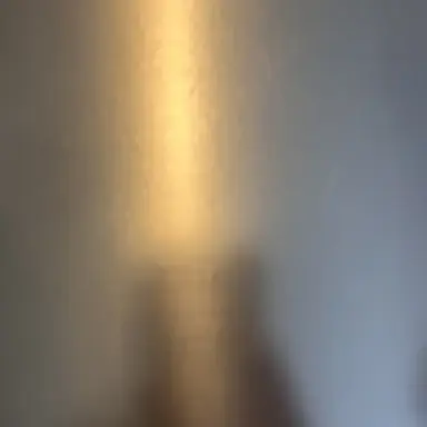 Profile image of 한지성