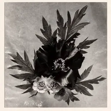 Profile image of 優吾