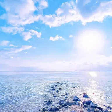 Profile image of 龍司