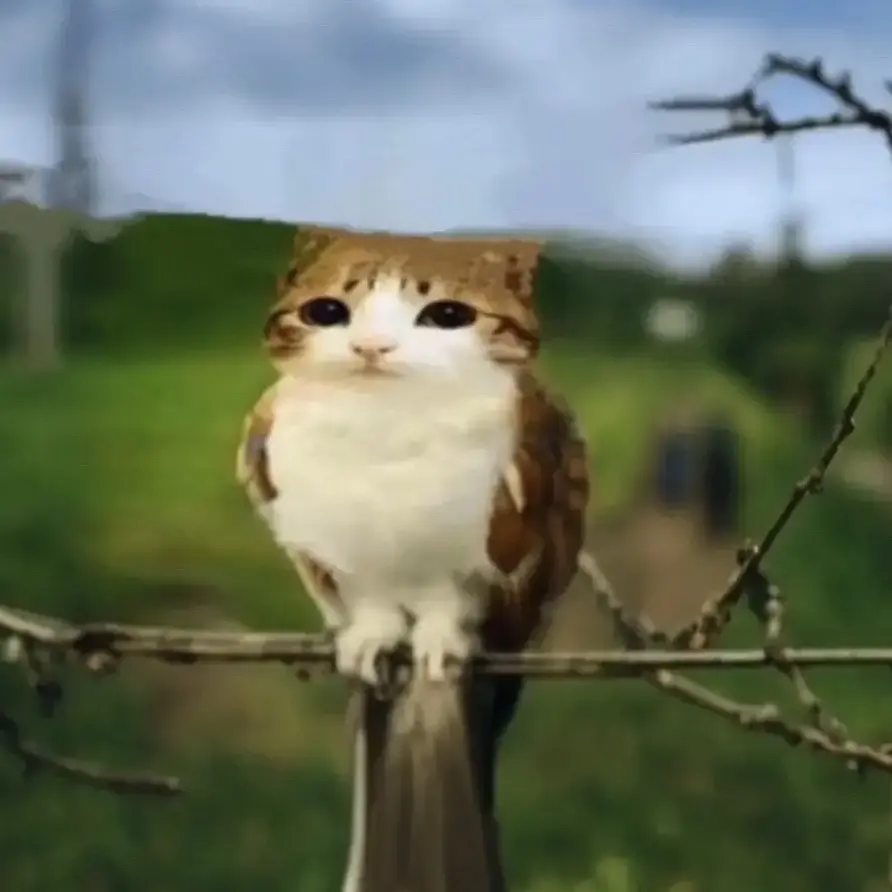 Owlcat의 Owlcat