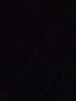 Yupp0_0의 ㅤ