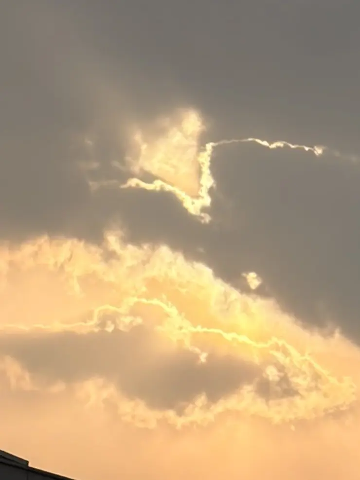 LovedWorm8959의 회옥옥절에 떨어진 현 주술고전즈?