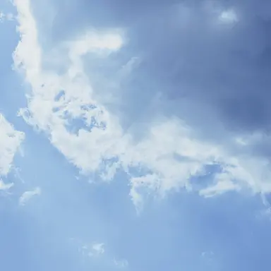 Profile image of 잭