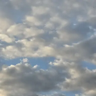 Profile image of 제미니