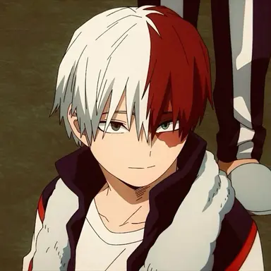 Profile image of Todoroki