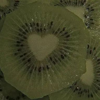 Profile image of 공룡