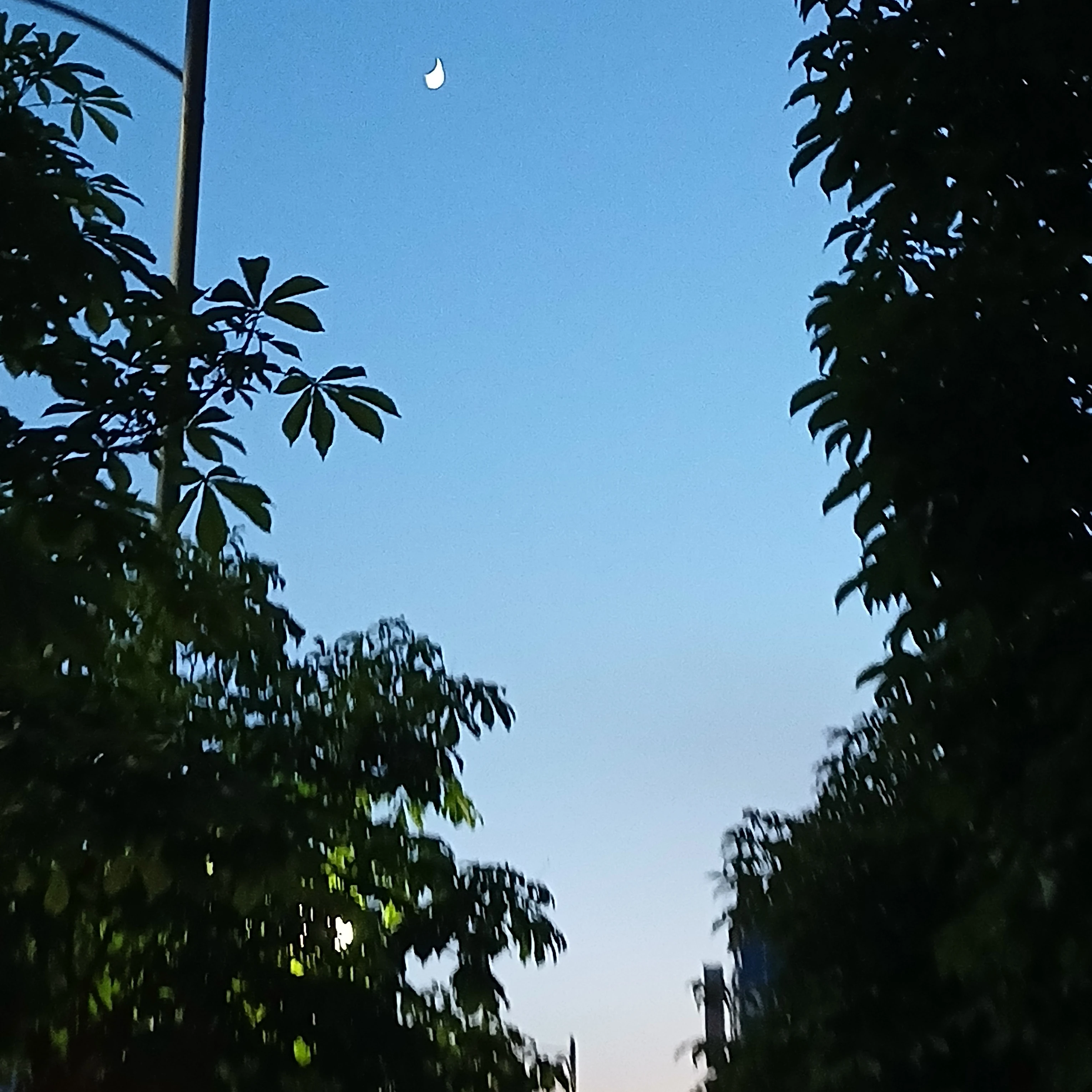 싸이코드