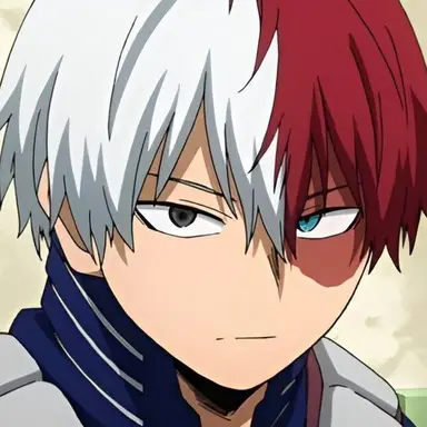 Profile image of Todoroki