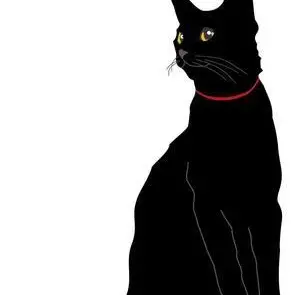 Profile image of ミント