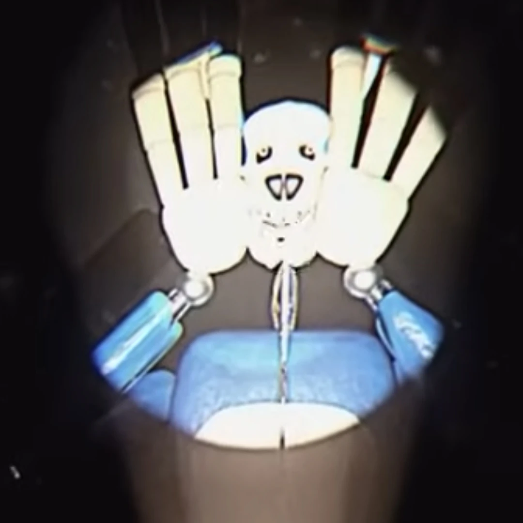 보니