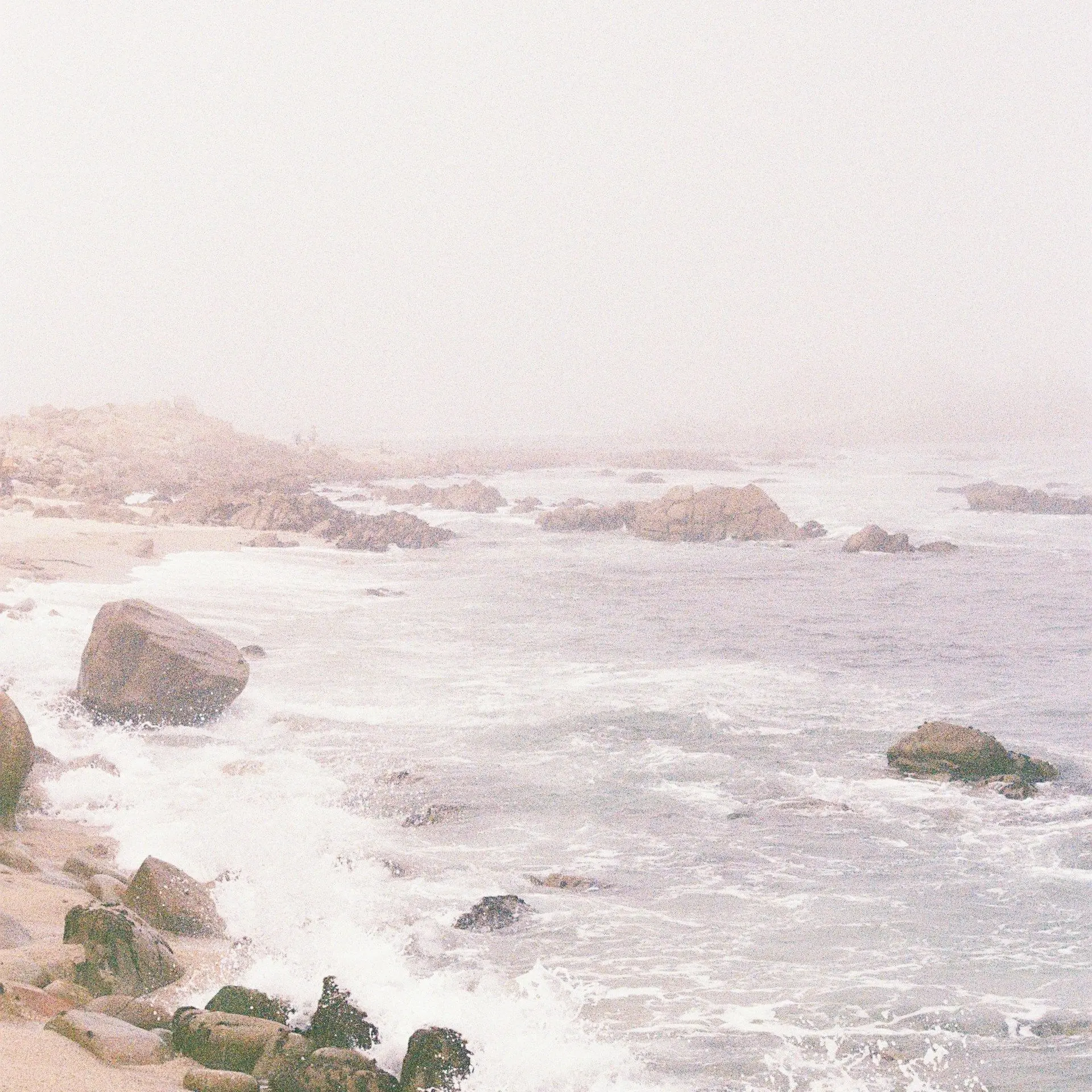 yamtol의 ―우리는 뭘까.