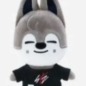Profile image of 방찬