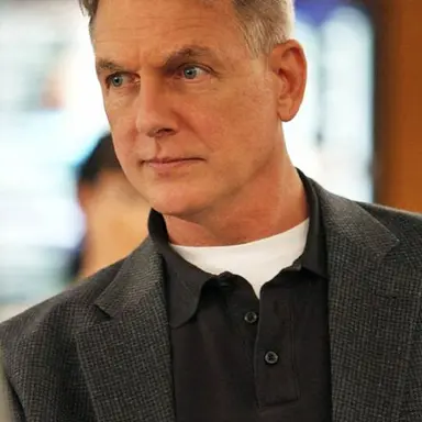 Profile image of Leroy Jethro Gibbs