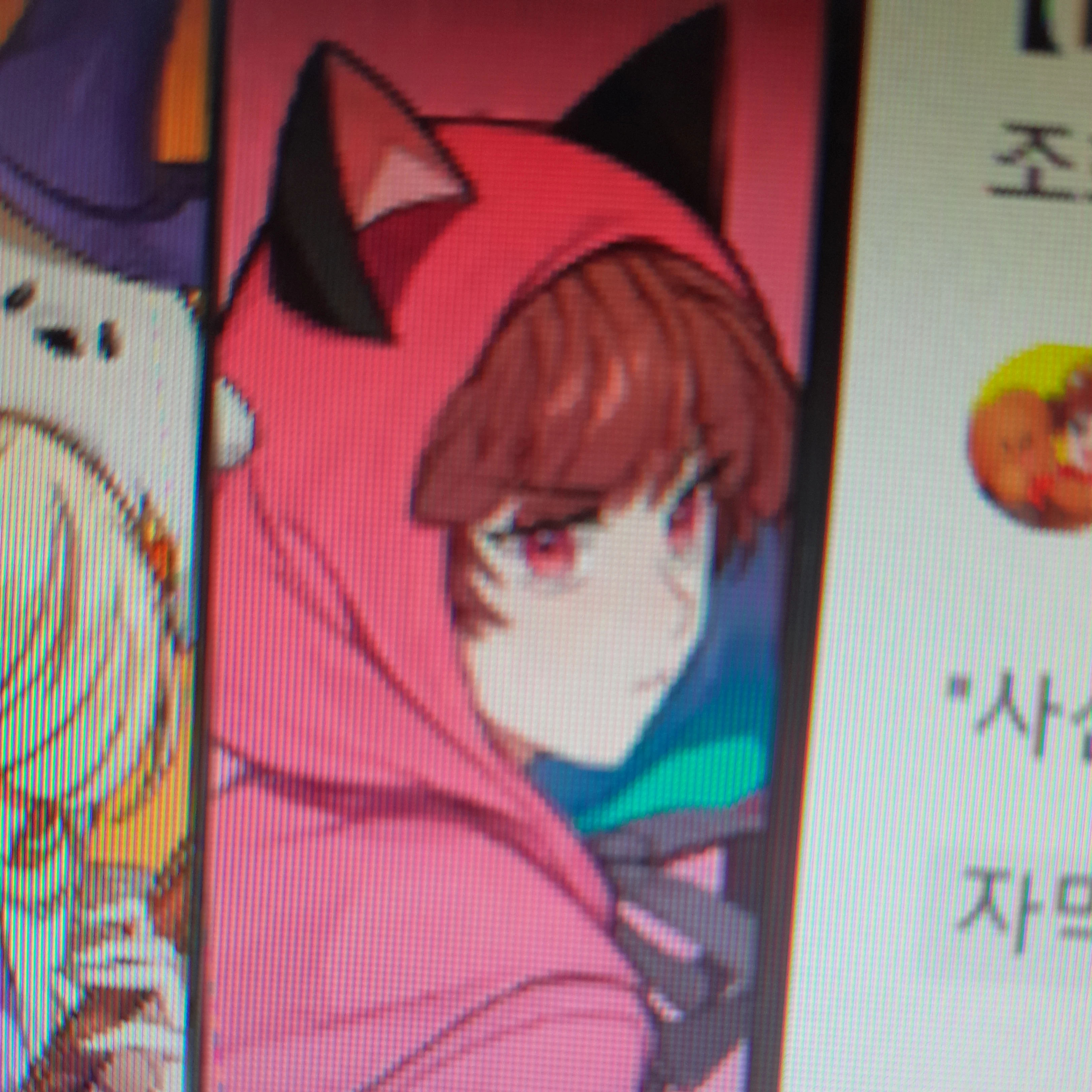 코아
