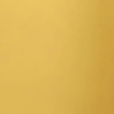 Profile image of 문현빈