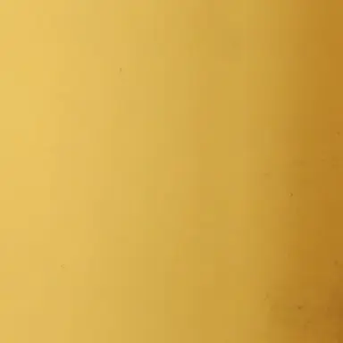 Profile image of 이진영