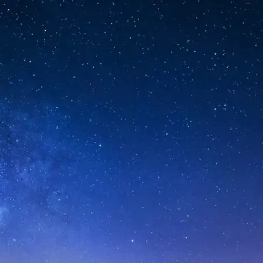 Profile image of 린