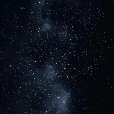 Profile image of 준호