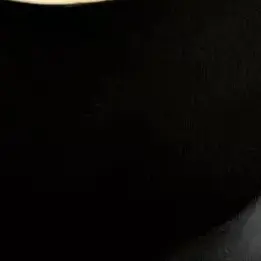 Profile image of 시나즈가와 사네미