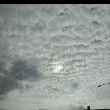 Profile image of 藤澤涼架