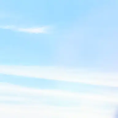 Profile image of 叶