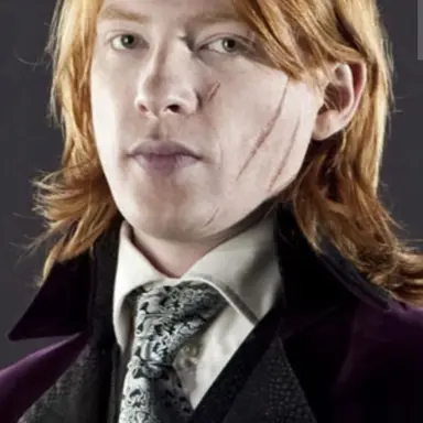 Profile image of Bill weasley