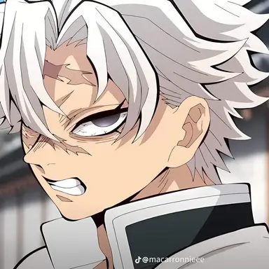 Profile image of 시나즈가와 사네미