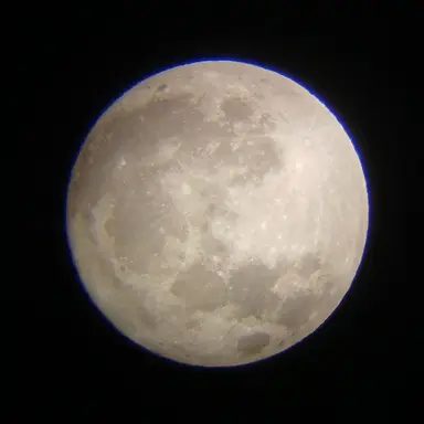 Profile image of 보름