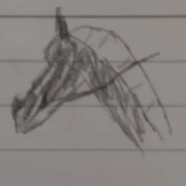 Profile image of 라피스
