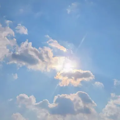 Profile image of 파이브