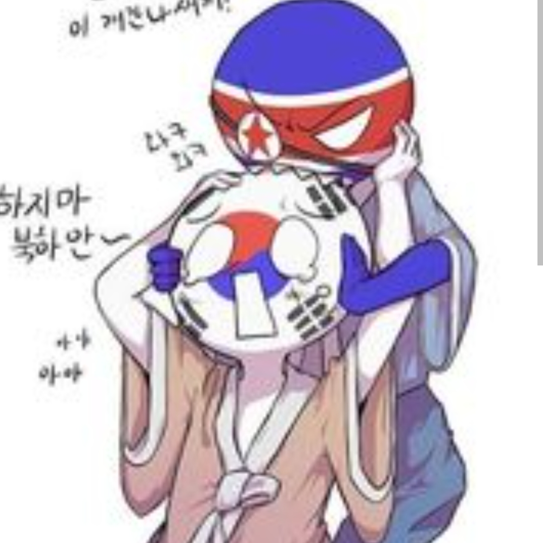 한국,북한 멘날싸우는 남매! 대표 이미지