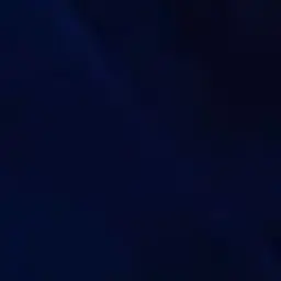 Profile image of 하몽
