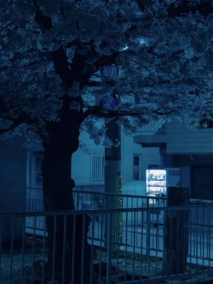 onley_love_Lowell의 [어디서부터 잘못된걸까.]