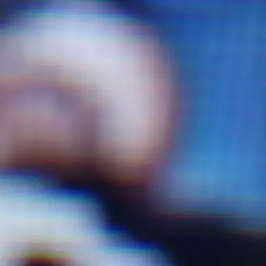 Profile image of 스키비디 토일렛