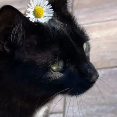 Profile image of 유하민